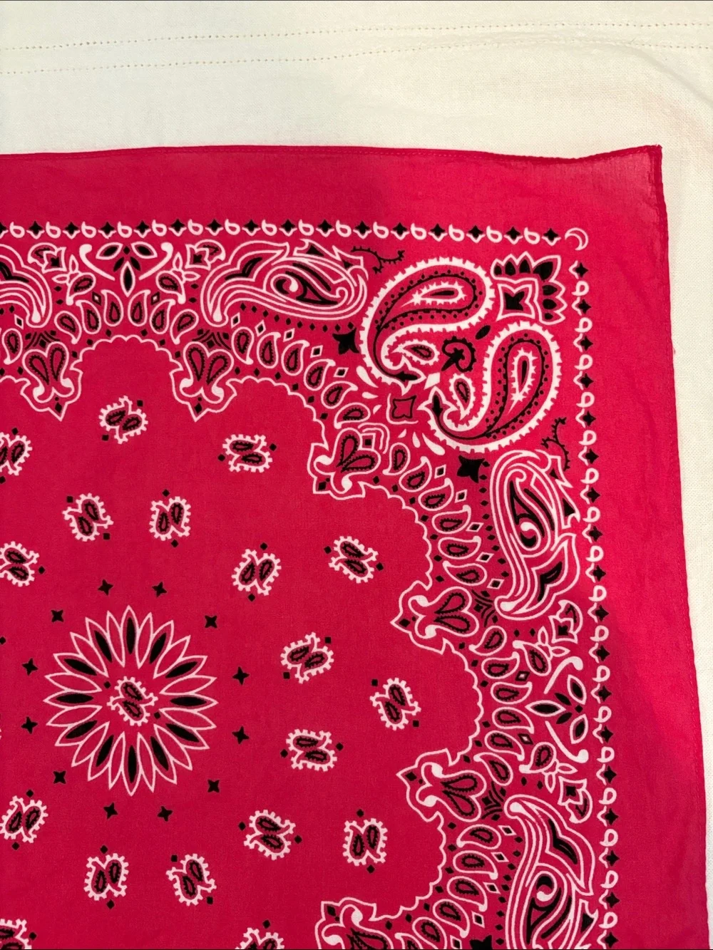 Pink Paisley Bandana